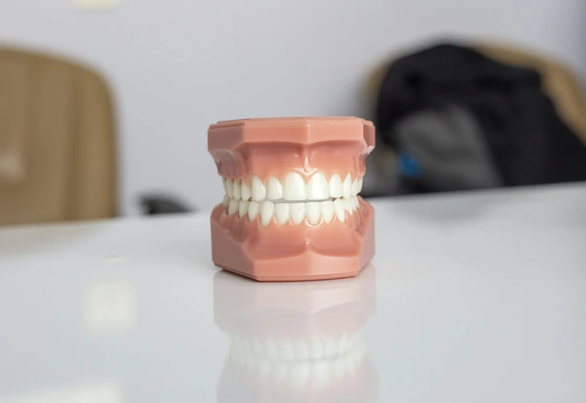 Full upper and lower set of replacement teeth on a dental model